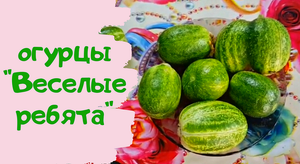 Опьяняющие огурцы "Веселые ребята" из Пятерочки
