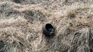 Епишово, вымершая деревня 26.03.2020