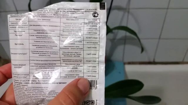 Первый полив после пересадки орхидея Фаленопсис и Брассия смотреть онлайн