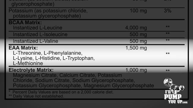 Martyn Ford's Ignite Nutrition Amino-UP Advanced Aminos 8:1:1 Ratio Supplement Review & Taste Test смотреть онлайн