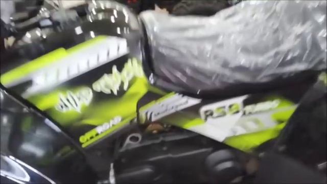 Квадроцикл WILD TRACK 200! смотреть онлайн