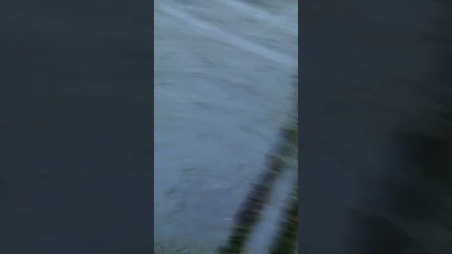 Кронштадт. кальян. бродяга смотреть онлайн