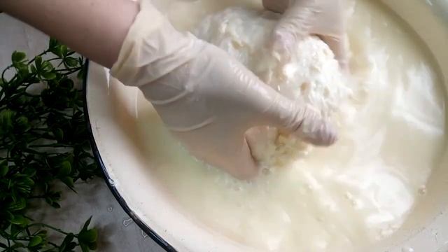 Если для пиццы нужен сыр моцарелла, не спешите бежать в магазин  mozzarella cheese recipe 1