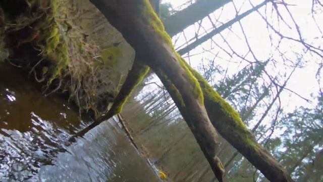 СТРАЧА 2021, СПЛАВ НА ПАКРАФТЕ. БУРНАЯ РЕКА В БЕЛАРУСИ. смотреть онлайн