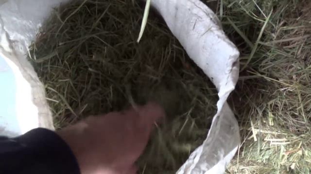 Зимний корм для кроликов смотреть онлайн