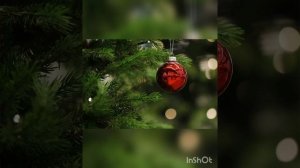 Жизнь все равно прекрасна. Юрий Левитанский