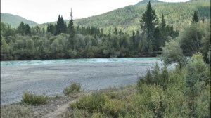 "Координаты: Алтай" - река КоксУ (Бийское телевидение)