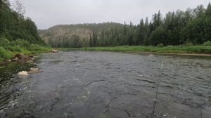 Ловим хариуса на горной речке, на поплавок!