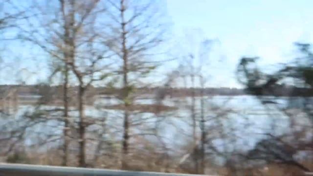 58. США. Новое путешествие в Атланту, Джорджия. Международный супермаркет, в котором есть ВСЕ!!! смотреть онлайн