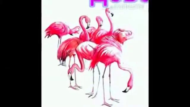 Какой ты зверь по знаку зодиака😱 смотреть онлайн