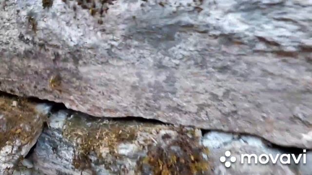 Карелия. Старый финский хутор. Находки. смотреть онлайн