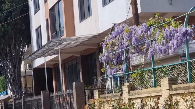 В Плазе// готовим ужин вместе. 6 мая 2021 смотреть онлайн