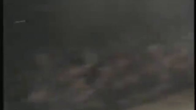 Гражданская оборона   Тошнота