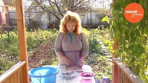 Обрабатываем корни девясила