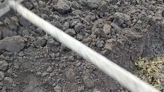 Готовлю делянку к посадке