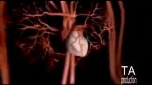 Вред майонеза