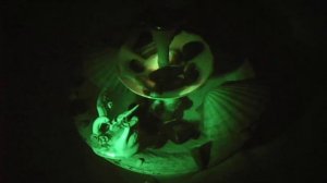 Для сна, звуки природы, фонтан, звуки для души