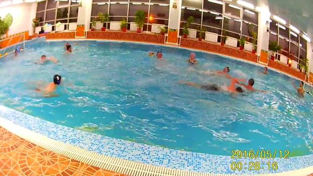 Водное поло в клубе Цитрус тренировка 09.11.2017 смотреть онлайн