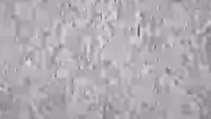 Очень опасные Смертельные Файлы, сводящие с ума! || doggy.avi\Доmom000.avi