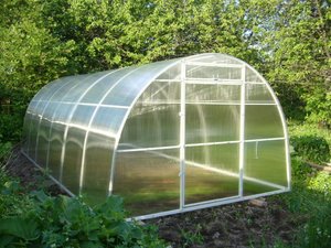 ЧЕМ И КАК  ОБРАБОТАТЬ ТЕПЛИЦУ ВЕСНОЙ? МОЯ ОБРАБОТКА ТЕПЛИЦЫ ВНУТРИ ОТ БОЛЕЗНЕЙ И ВРЕДИТЕЛЕЙ.(2022г)