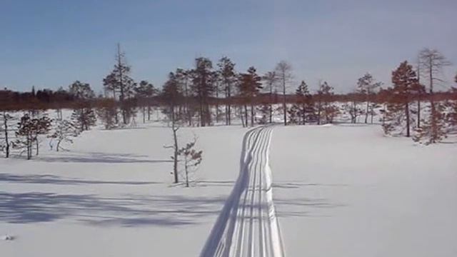 Мотобуксировщик по снежной целине болота смотреть онлайн
