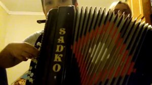 Украинская народная песня " Бандура "