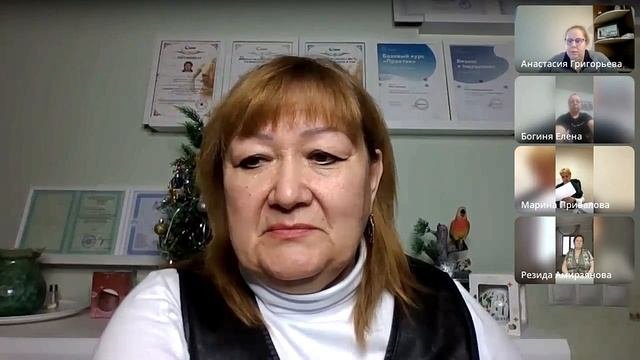 Специалисты Семененко Елена и Григорьева Анастасия: Отвечаем на вопросы пользователей АПК HPSP