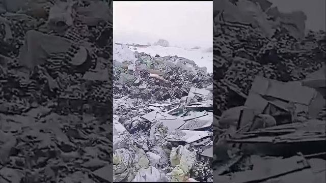 Десятки тысяч яиц выбросили на свалку в российском городе