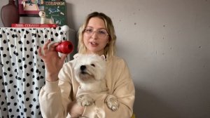 ЧТО КУПИТЬ ДЛЯ ЩЕНКА ДОМОЙ // 9 БАЗОВЫХ ПОКУПОК ДЛЯ ЩЕНКА