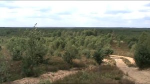 Борне Сулиново, Сыпнево - Полигон.