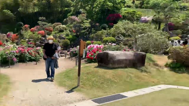 Храмовая музыка - гагаку смотреть онлайн