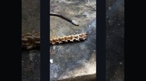 Изготовление цепи Бисмарк на 80 грамм