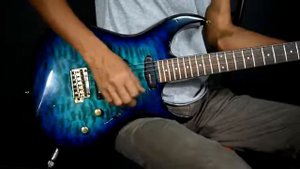 FERNANDES FGZ – 420   1