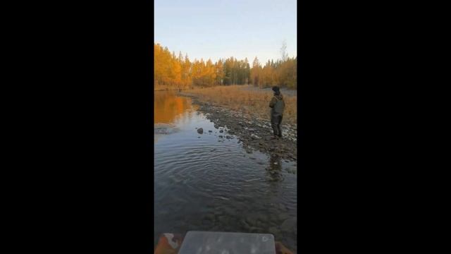 Рыбалка на горной речке с сыновьями. Ловля отличных ленков.