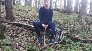 Новые правила сбора грибов и ягод 2021