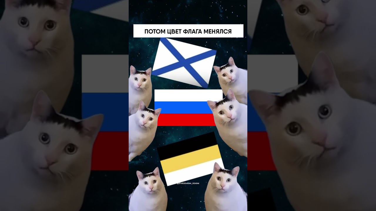 ИСТОРИЯ ДНЯ РОССИЙСКОГО ФЛАГА В МЕМАХ И КОТИКАХ #деньфлага #флаг #флаги #история #праздник
