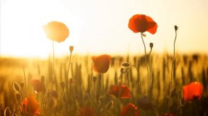 Успокающая музыка на пианино