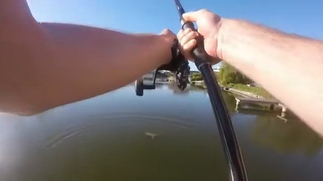 Рыбалка в Германии на Карпа смотреть онлайн