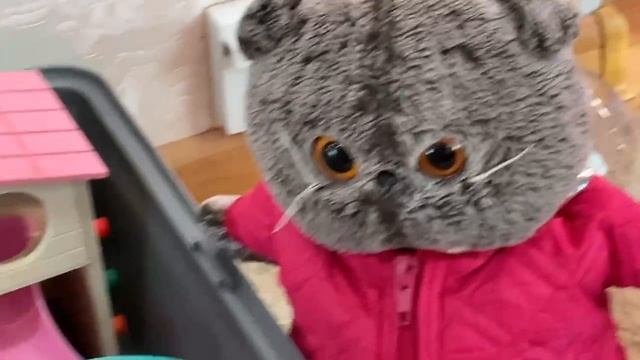 Дюна для хомячка/一ХОМКа/ Скоро будет хомячок!