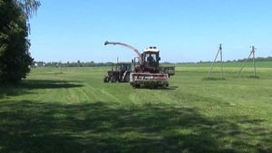 УЭС-280 "Полесье" подбирает валки с травой на болоте
