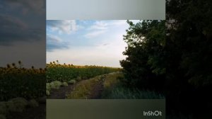 Фотовыставка "У природы нет плохой погоды" МБУК ЦКиБО "Юбилейный" п. Чебеньки