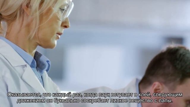 Почему пауки не застревают в собственной паутине смотреть онлайн