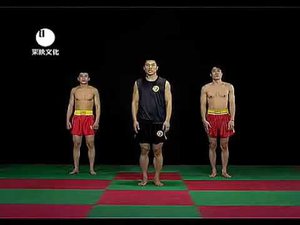 Техника ушу-саньда.