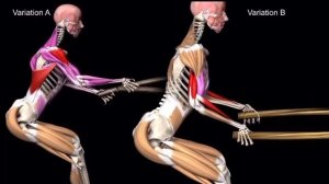 Тренировка с канатом (обучение 6)