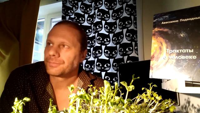 Хочу тебе помочь, приходи к Логинову, не тупи, проверь Пи Эм Пи! смотреть онлайн