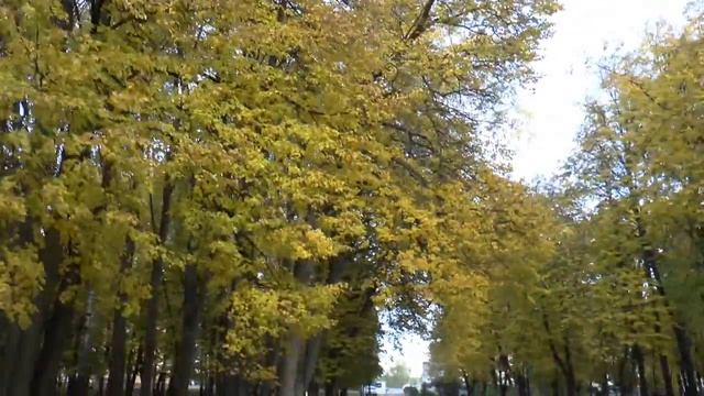 Соборный парк (Рязань)
