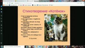 Топ 5 самых  грустных  стихов  про  кошек