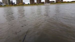 Ловим Густеру на Дудергофском канале (Дудике) Рыбалка на Финском Заливе