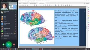 Нейробиология аутизма