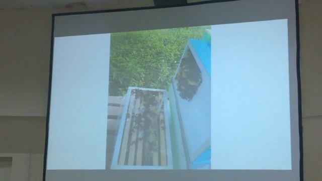 Пчеловодство. Беларусь.Щеголев Ю.Н. смотреть онлайн